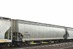 490051